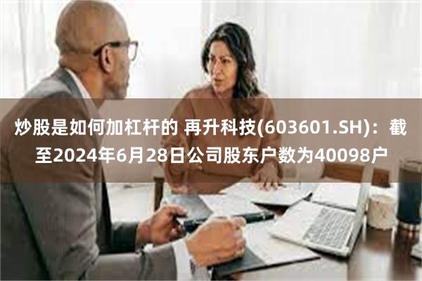 炒股是如何加杠杆的 再升科技(603601.SH)：截至2024年6月28日公司股东户数为40098户