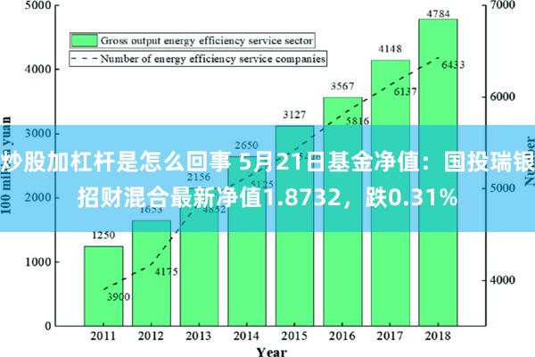 炒股加杠杆是怎么回事 5月21日基金净值：国投瑞银招财混合最新净值1.8732，跌0.31%