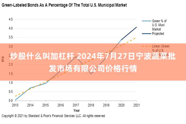 炒股什么叫加杠杆 2024年7月27日宁波蔬菜批发市场有限公司价格行情