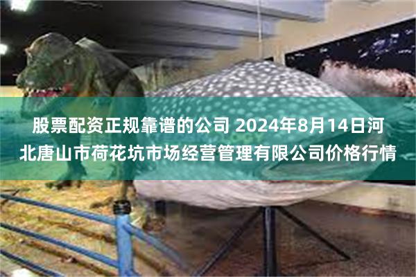 股票配资正规靠谱的公司 2024年8月14日河北唐山市荷花坑市场经营管理有限公司价格行情