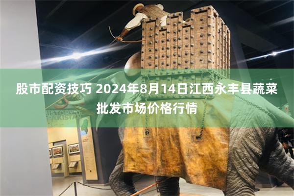 股市配资技巧 2024年8月14日江西永丰县蔬菜批发市场价格行情