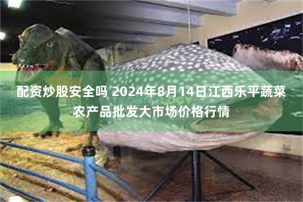 配资炒股安全吗 2024年8月14日江西乐平蔬菜农产品批发大市场价格行情