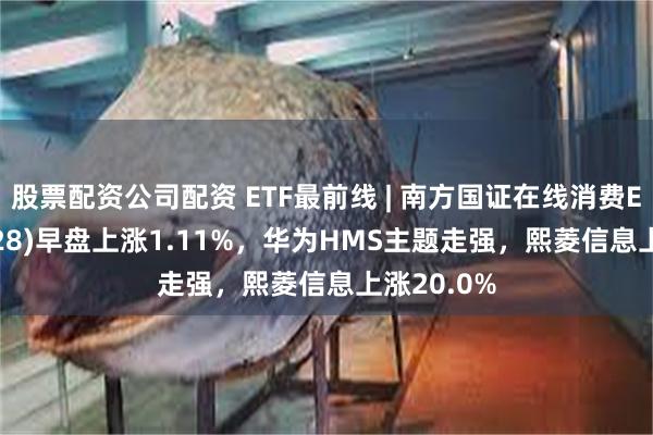 股票配资公司配资 ETF最前线 | 南方国证在线消费ETF(159728)早盘上涨1.11%，华为HMS主题走强，熙菱信息上涨20.0%