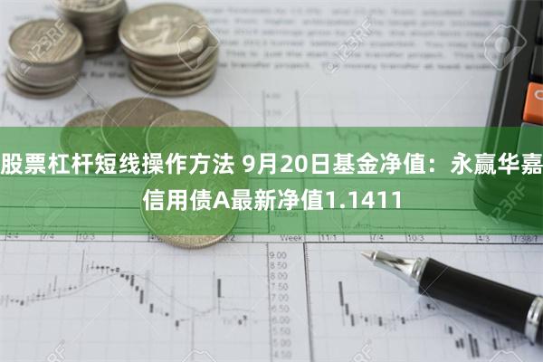 股票杠杆短线操作方法 9月20日基金净值：永赢华嘉信用债A最新净值1.1411