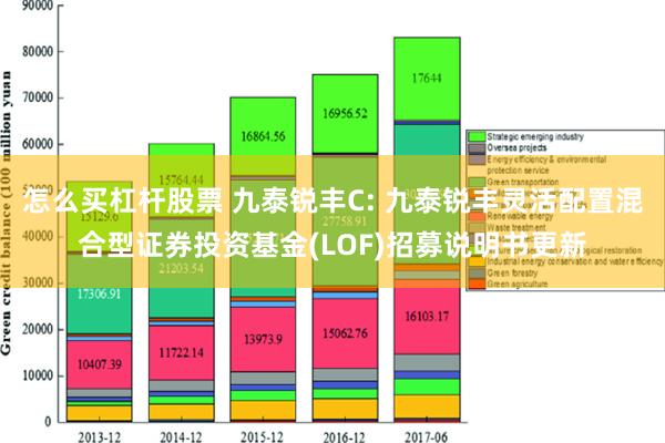 怎么买杠杆股票 九泰锐丰C: 九泰锐丰灵活配置混合型证券投资基金(LOF)招募说明书更新