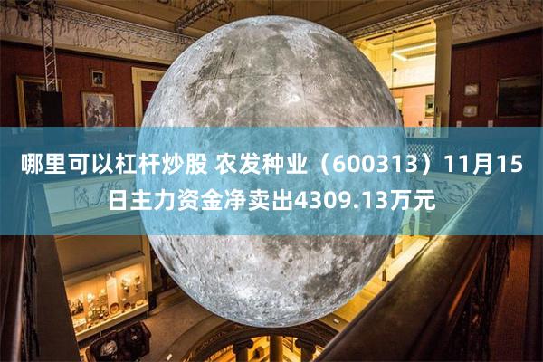 哪里可以杠杆炒股 农发种业（600313）11月15日主力资金净卖出4309.13万元