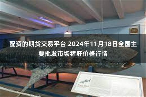 配资的期货交易平台 2024年11月18日全国主要批发市场猪肝价格行情