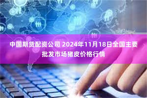 中国期货配资公司 2024年11月18日全国主要批发市场猪皮价格行情