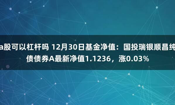 a股可以杠杆吗 12月30日基金净值：国投瑞银顺昌纯债债券A最新净值1.1236，涨0.03%