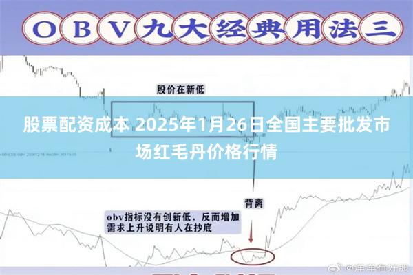 股票配资成本 2025年1月26日全国主要批发市场红毛丹价格行情