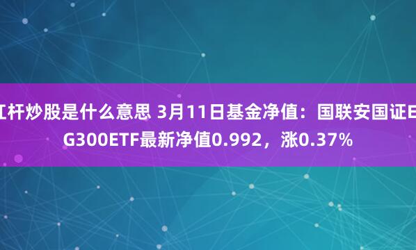 杠杆炒股是什么意思 3月11日基金净值：国联安国证ESG300ETF最新净值0.992，涨0.37%