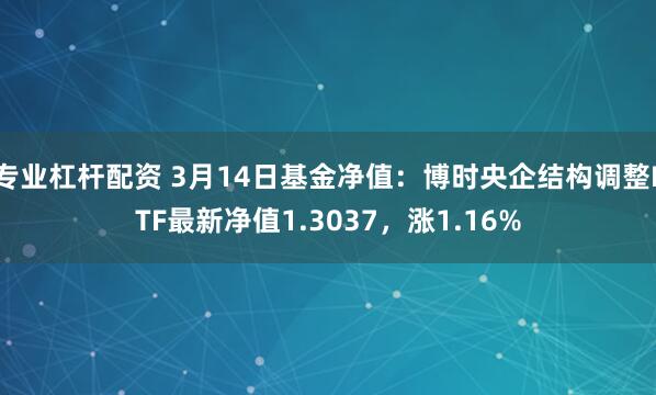 专业杠杆配资 3月14日基金净值：博时央企结构调整ETF最新净值1.3037，涨1.16%